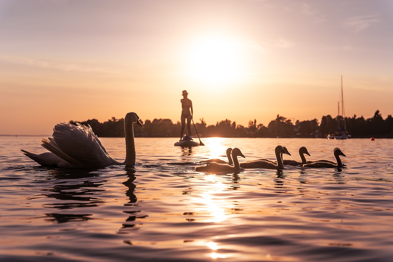  Outdoor Summer Fun in Your Own Backyard | Bemidji Apartments 